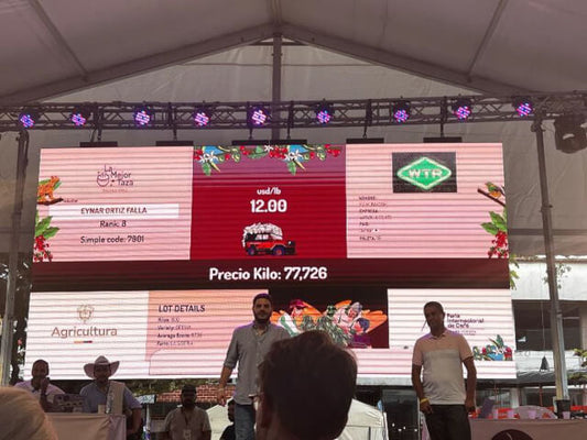 浅煎り コロンビア ラ・シベリア ゲイシャ セミウォッシュト コーヒー豆