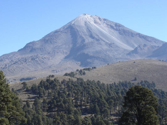 中煎り デカフェ メキシコ チアパス マウンテンウォータープロセス コーヒー豆