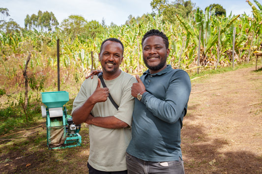 浅煎り エチオピア タミルタデッセ ALO モスト アナエロビック コーヒー豆