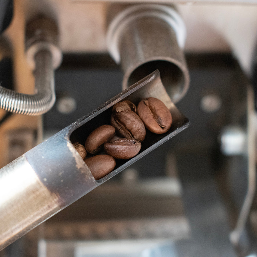 aillio版【焙煎定期便】毎月1種類+焙煎プロファイルシート付/送料無料