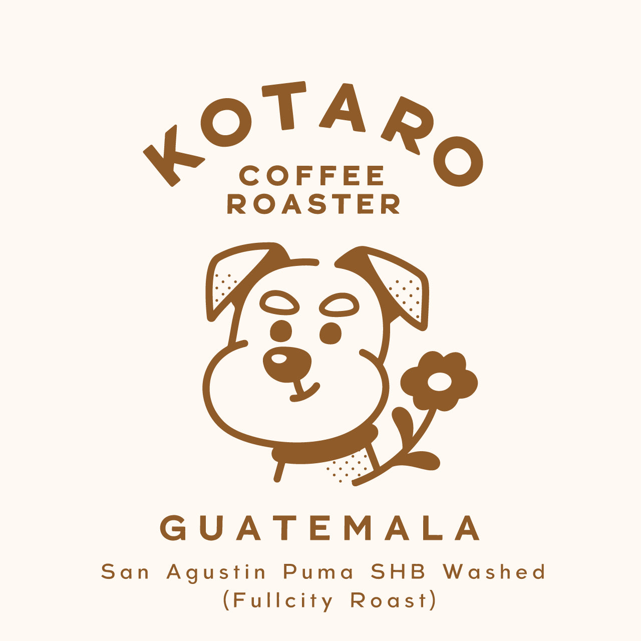 深煎り グアテマラ サンアグスティン ピューマ ウォッシュトコーヒー豆