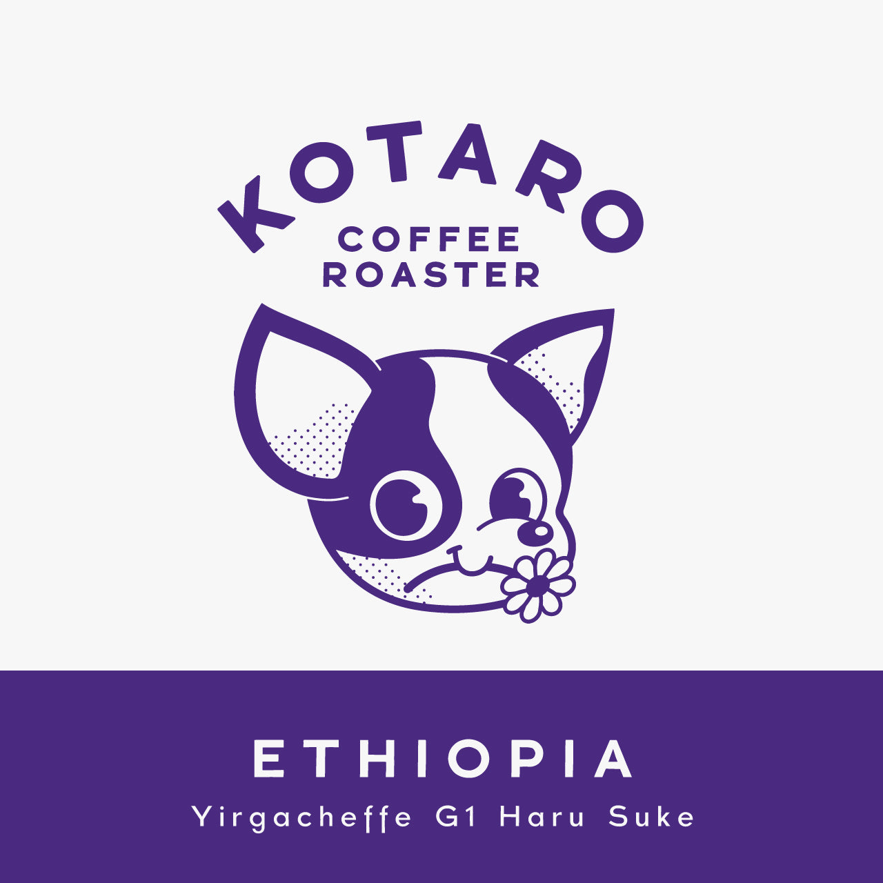 【DAILY】3種類の浅煎りセット