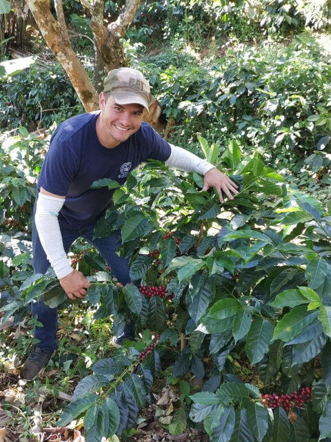 中深煎り コスタリカ エルマノス・バルソ バラブランカ ホワイトハニー コーヒー豆