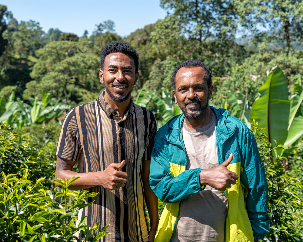 浅煎り エチオピア ニグセ ゲメダ アゲナ ウォッシュト コーヒー豆
