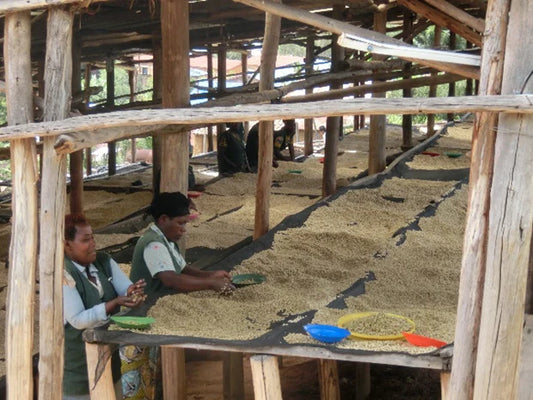 浅煎り ルワンダ ニャルシザ Lot.1 ウォッシュトコーヒー豆