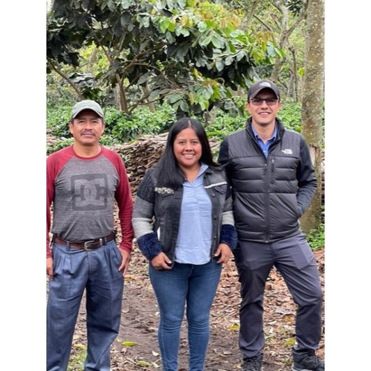 中深煎り グアテマラ メディナ ウォッシュトコーヒー豆