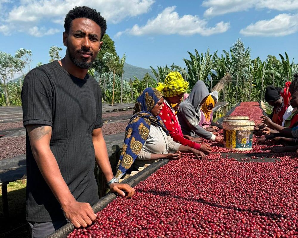 浅煎り エチオピア ニグセ ゲメダ アゲナ ウォッシュト コーヒー豆