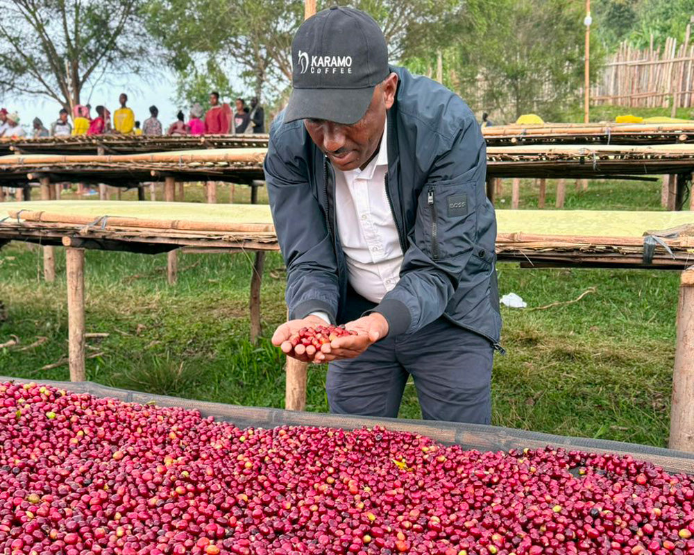 浅煎り エチオピア ニグセ ゲメダ アゲナ ウォッシュト コーヒー豆