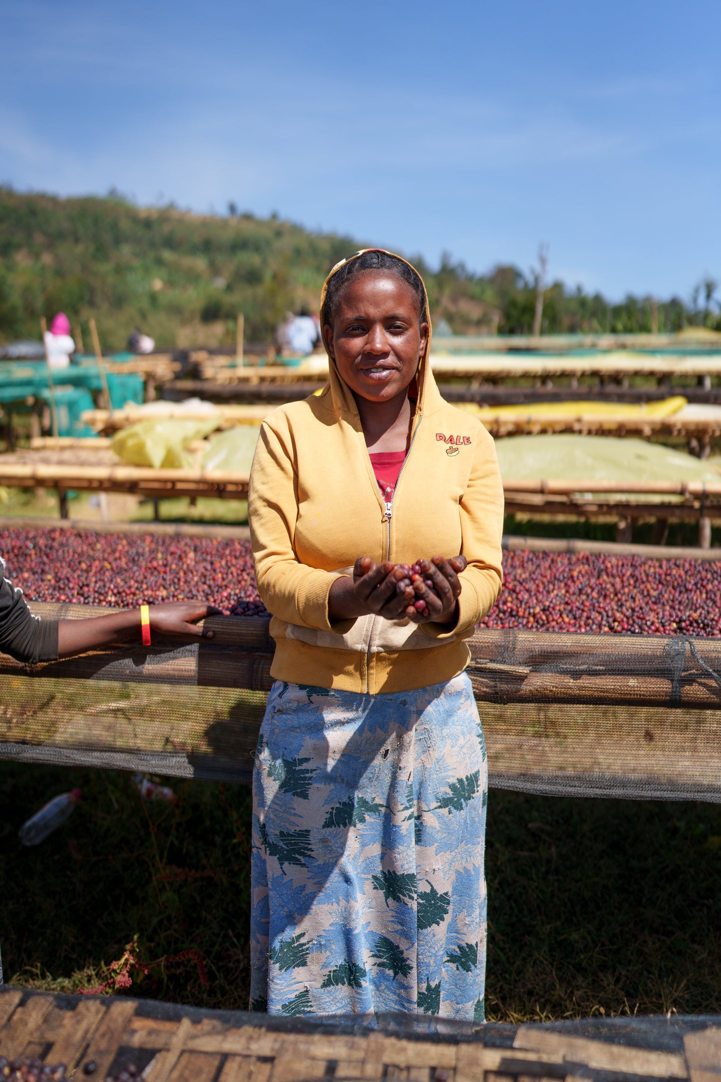 浅煎り エチオピア ニグセ ゲメダ アゲナ ウォッシュト コーヒー豆