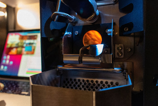 ※kaleido版【焙煎定期便】毎月1種類+焙煎プロファイルシート付/送料無料