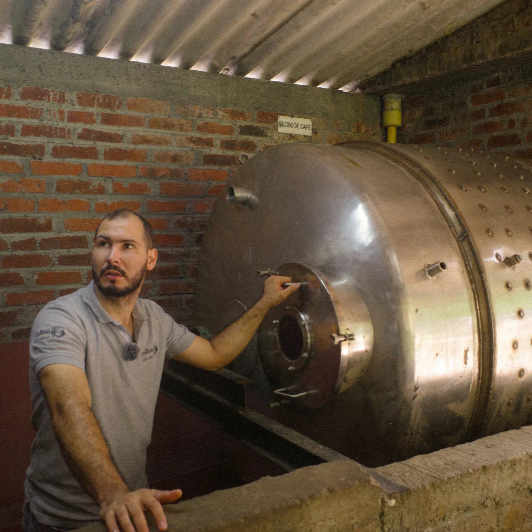 浅煎り コロンビア フィンカルシタニア ピンクブルボン ウォッシュト コーヒー豆