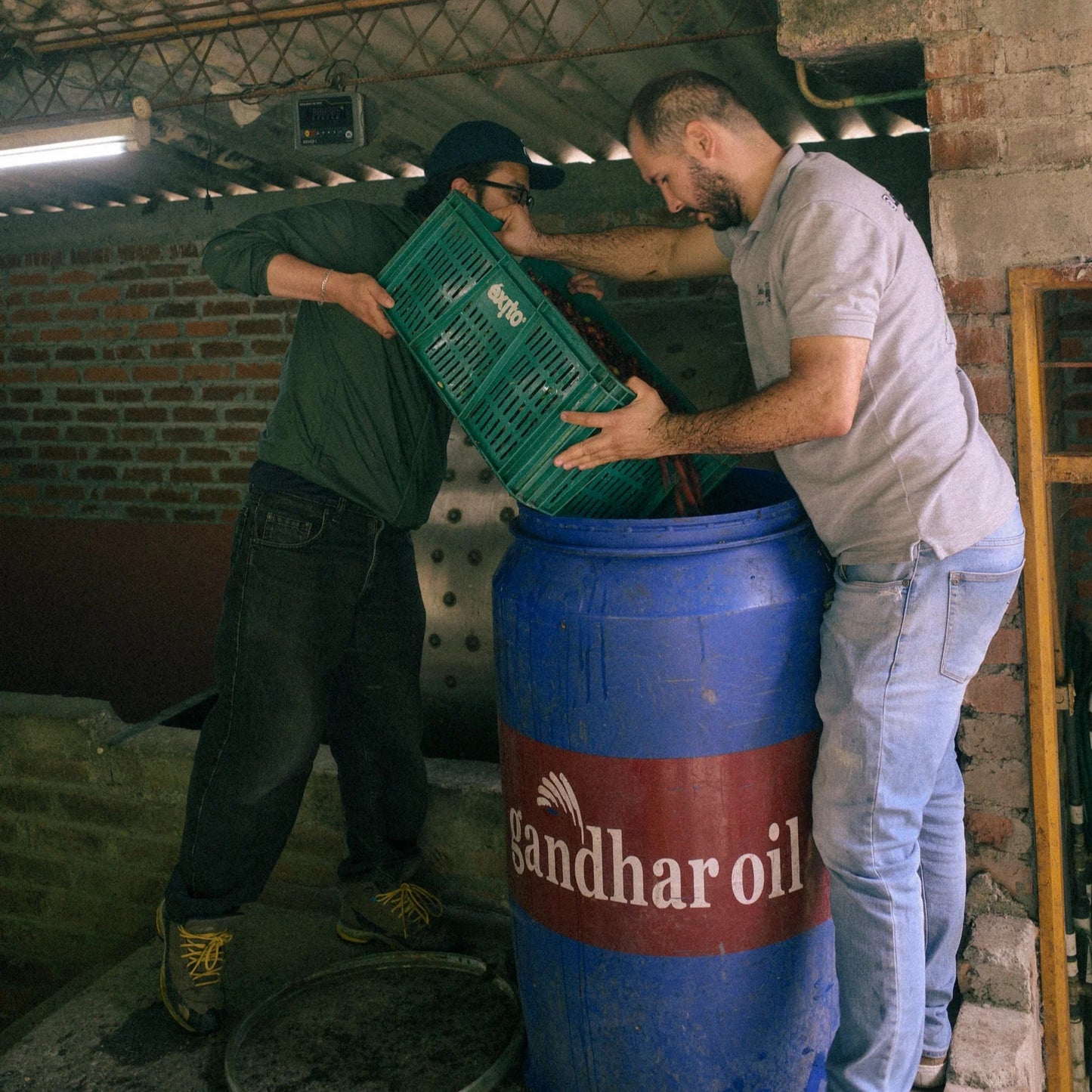 浅煎り コロンビア フィンカルシタニア ピンクブルボン ウォッシュト コーヒー豆