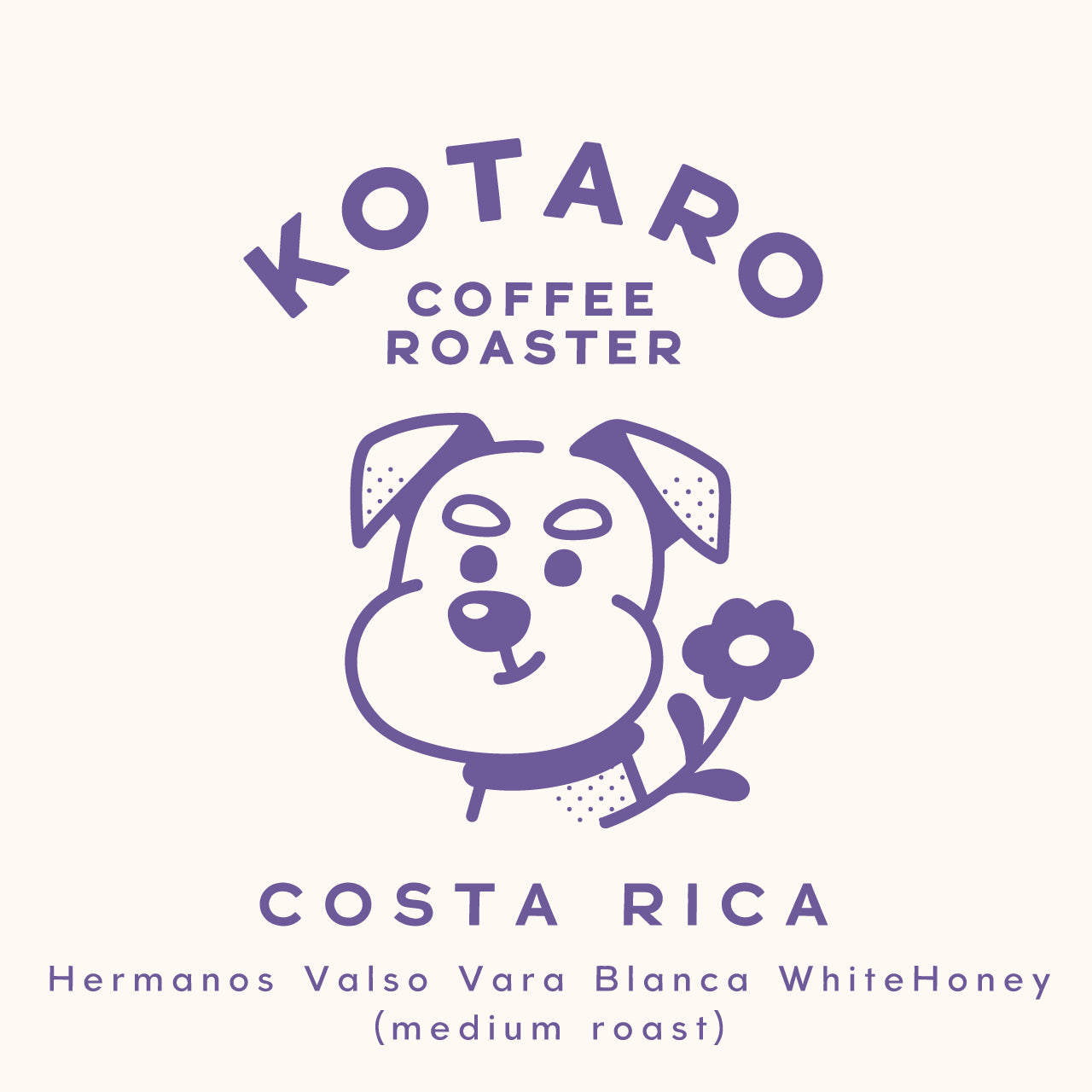 浅煎り コスタリカ エルマノス・バルソ バラブランカ ホワイトハニー コーヒー豆