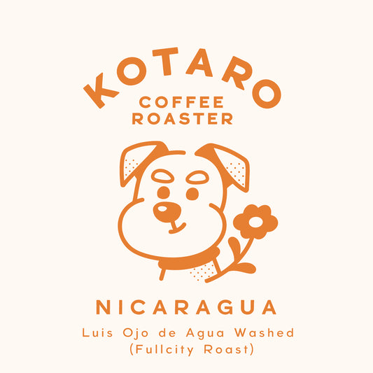 深煎り ニカラグア オホ・デ・アグア マラカトゥーラ ウォッシュト コーヒー豆