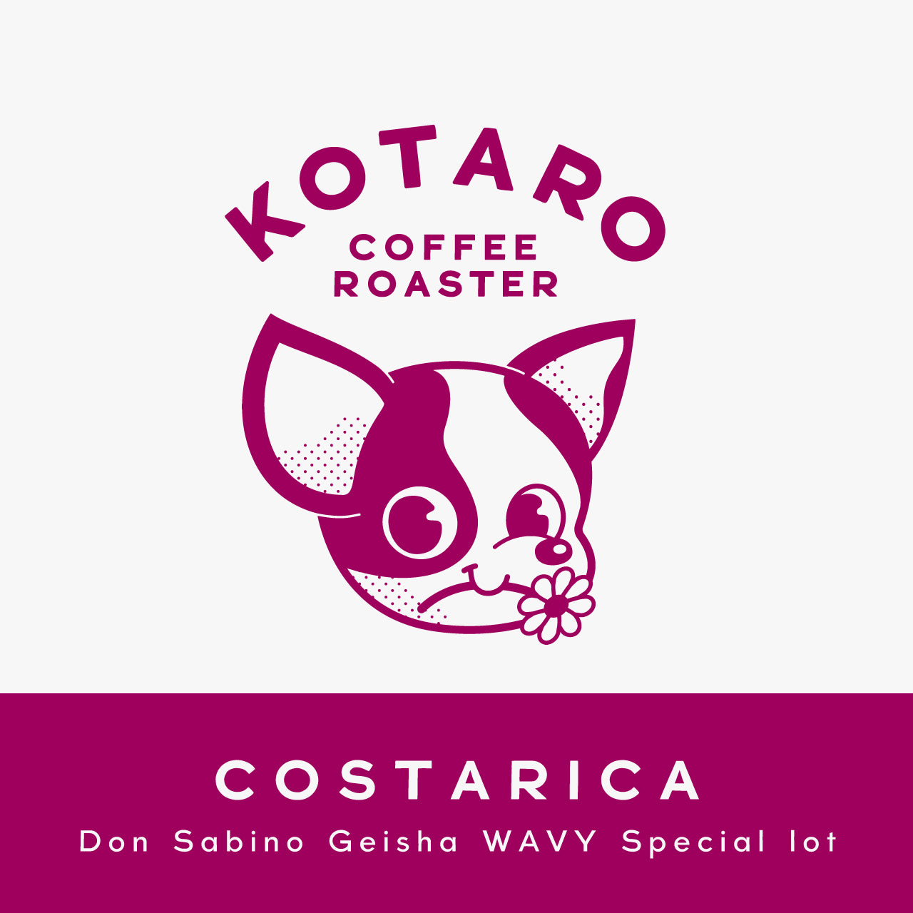 浅煎り コスタリカ エル・ホルダン ゲイシャ ナチュラル コーヒー豆