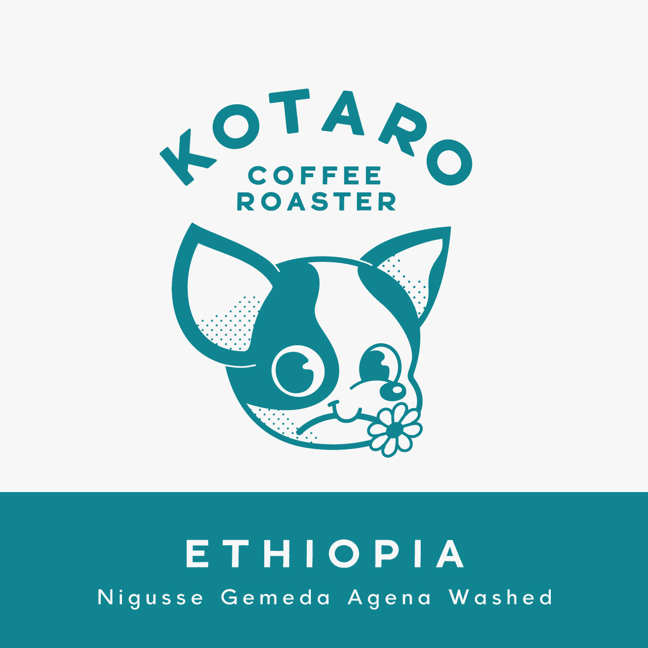 浅煎り エチオピア ニグセ ゲメダ アゲナ ウォッシュト コーヒー豆