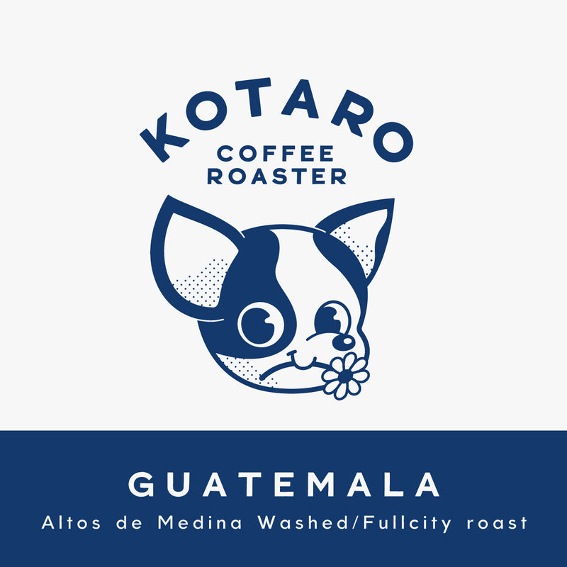 中深煎り グアテマラ メディナ ウォッシュトコーヒー豆