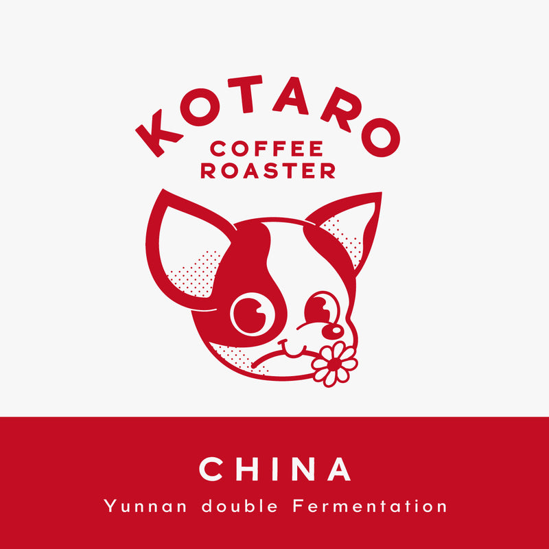 中浅煎り 中国 雲南 かもめの天空農園 ナチュラル ダブルファーメンテーション コーヒー豆