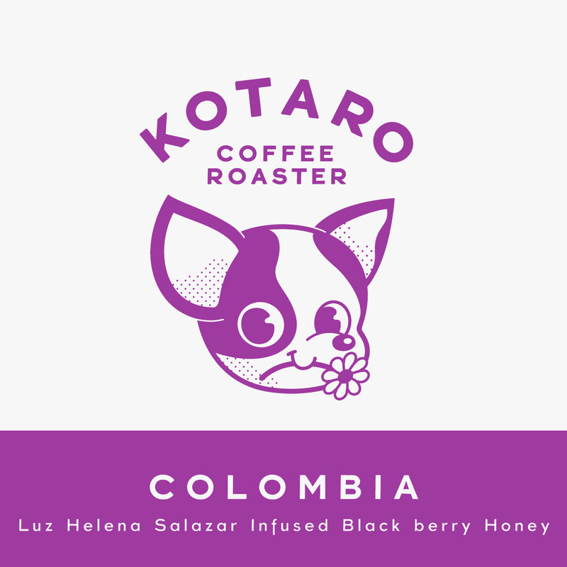 浅煎り コロンビア ルスヘレナ・サラザール ブラックベリーインフューズドハニー コーヒー豆