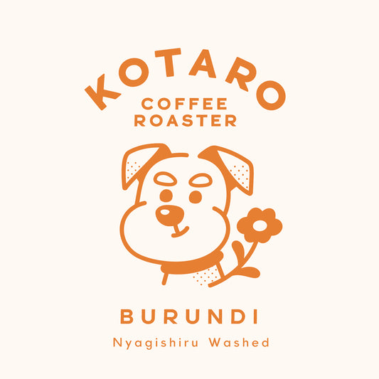 浅煎り ブルンジ ニャギシル ウォッシュト コーヒー豆