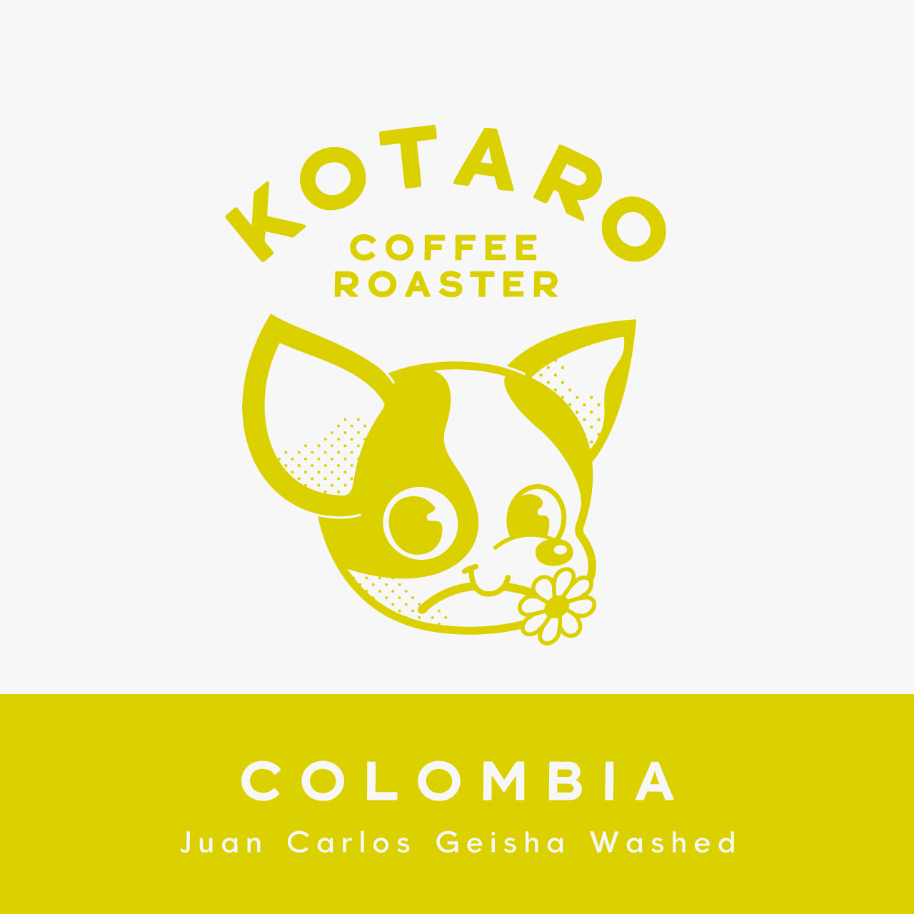 浅煎り コロンビア ファンカルロス ゲイシャウォッシュト コーヒー豆