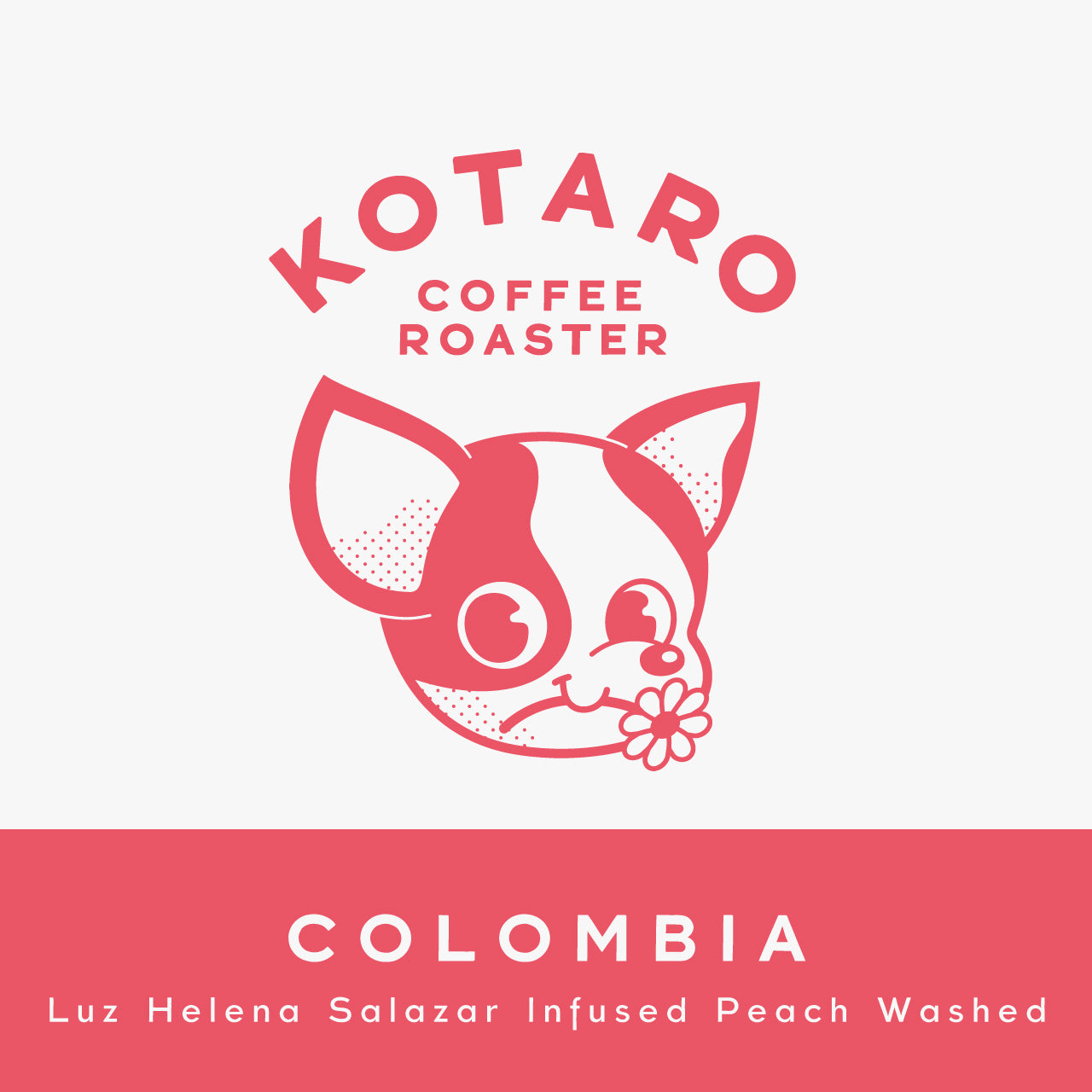 浅煎り コロンビア ルスヘレナ・サラザール ピーチインフューズドウォッシュ コーヒー豆