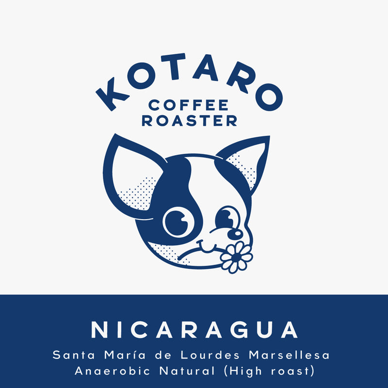 中浅煎り ニカラグア サンタマリア・デ・ローデス農園 マルセレサ アナエロビックナチュラル コーヒー豆