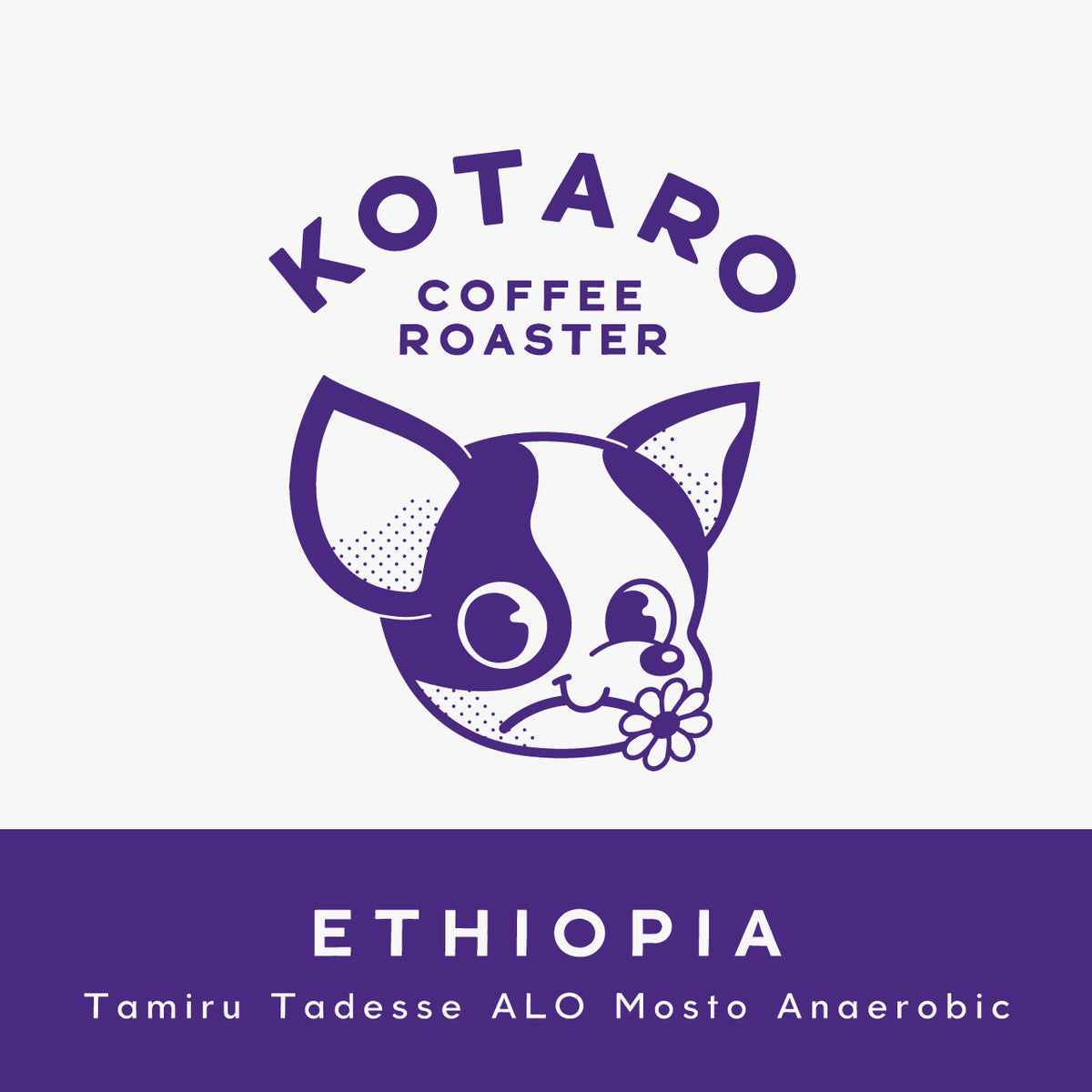 浅煎り エチオピア タミルタデッセ  ALO モスト アナエロビック コーヒー豆