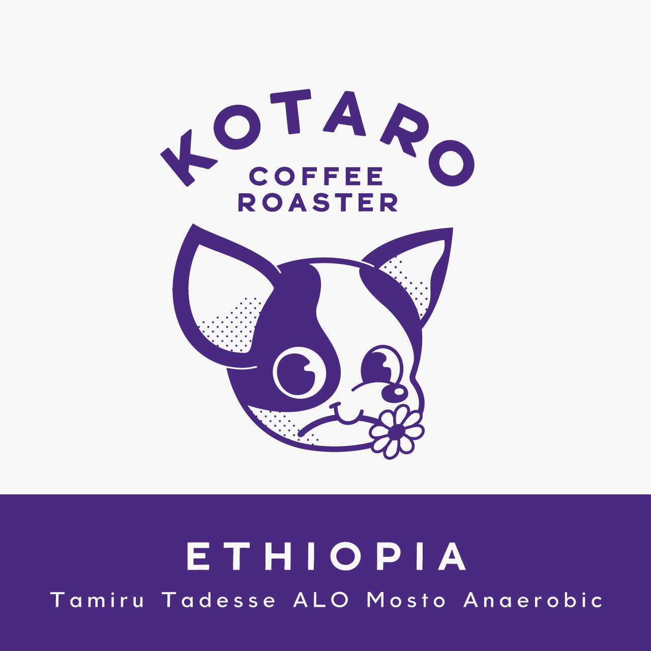 浅煎り エチオピア タミルタデッセ  ALO モスト アナエロビック コーヒー豆