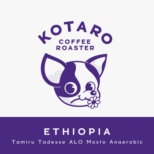 浅煎り エチオピア タミルタデッセ  ALO モスト アナエロビック コーヒー豆