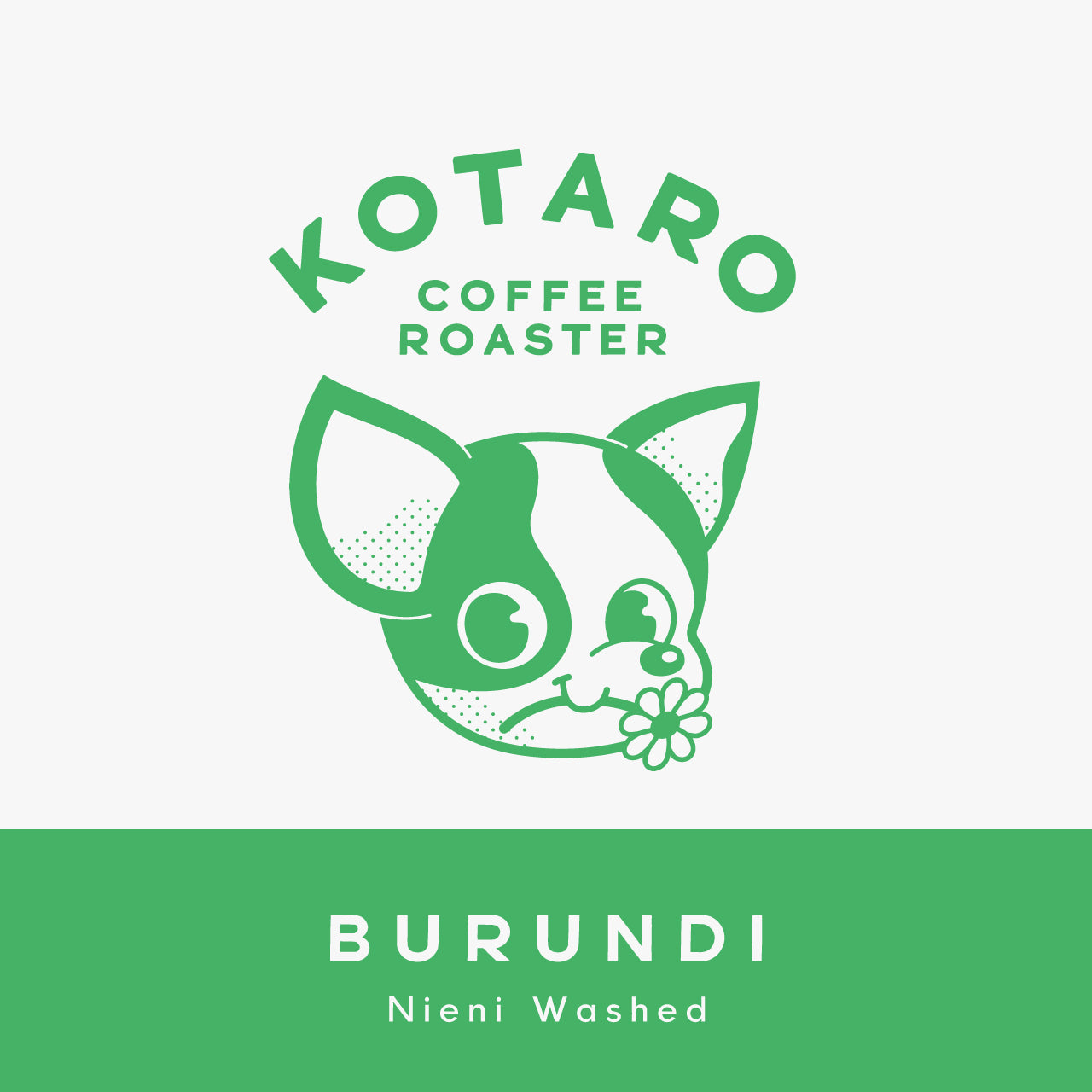 中浅煎り ブルンジ ニエンイ ウォッシュト コーヒー豆
