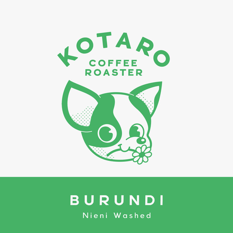 中浅煎り ブルンジ ニエンイ ウォッシュト コーヒー豆