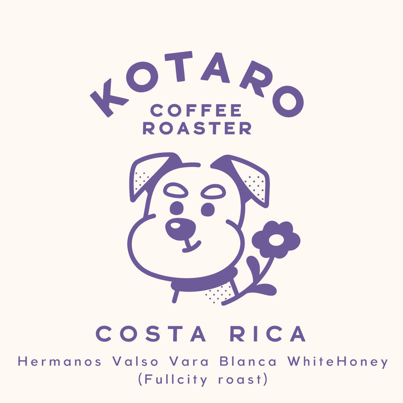 中深煎り コスタリカ エルマノス・バルソ バラブランカ ホワイトハニー コーヒー豆