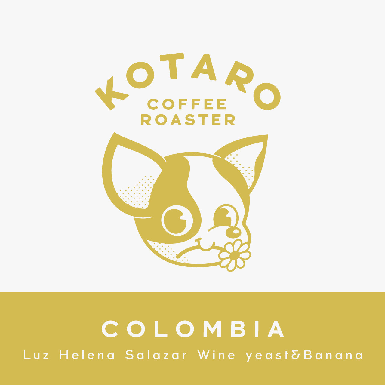 浅煎り コロンビア ルースヘレナ・サラザール ワインイースト&バナナ インフューズド コーヒー豆