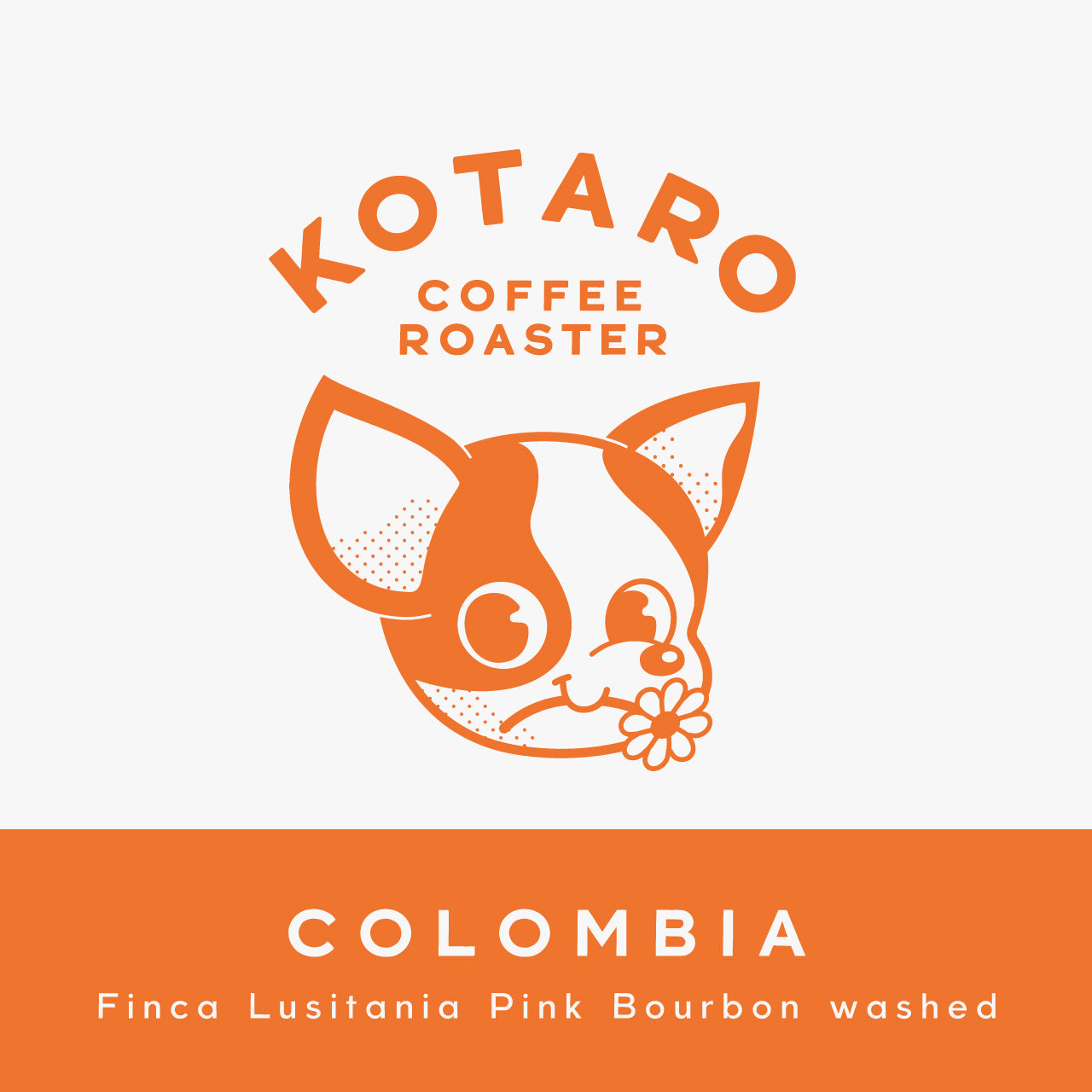 浅煎り コロンビア フィンカルシタニア ピンクブルボン ウォッシュト コーヒー豆