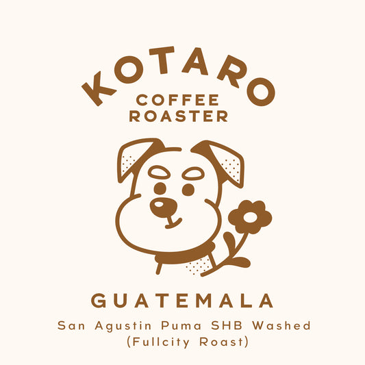 深煎り グアテマラ  サンアグスティン ピューマ ウォッシュトコーヒー豆