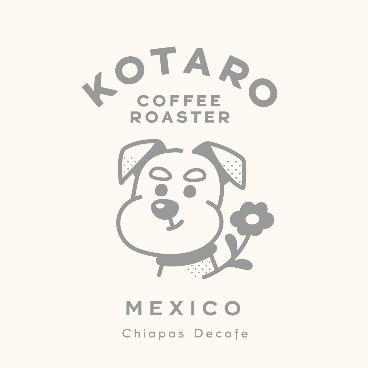 中煎り デカフェ メキシコ チアパス マウンテンウォータープロセス コーヒー豆
