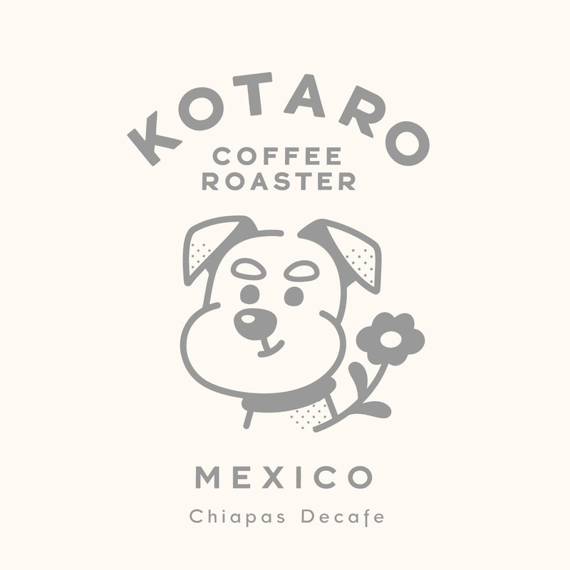 中煎り デカフェ メキシコ チアパス マウンテンウォータープロセス コーヒー豆