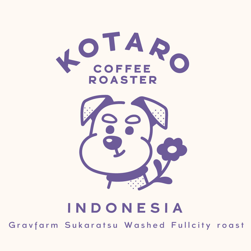 深煎り インドネシア グラヴファーム スカラツ ウォッシュト コーヒー豆