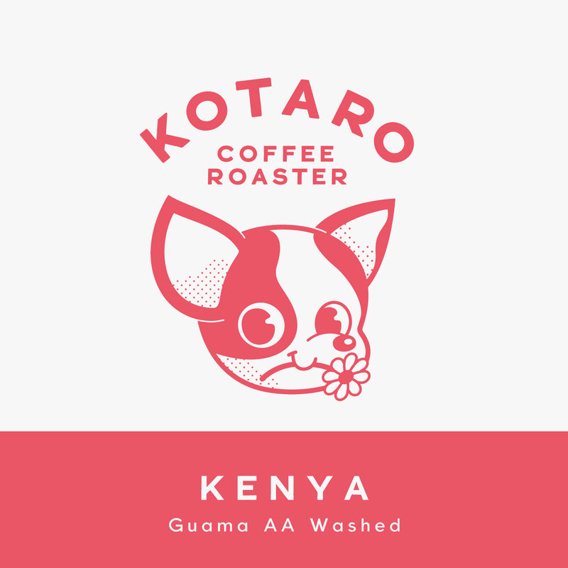 浅煎り ケニア グアマ AA ウォッシュト コーヒー豆