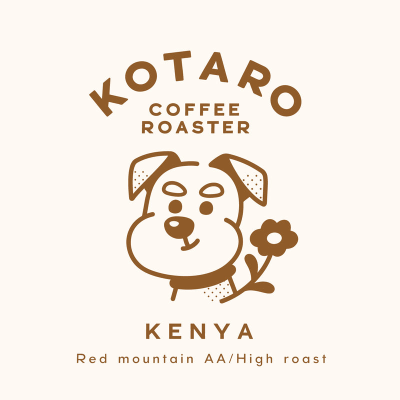 中浅煎り ケニア キリニャガ レッドマウンテンAA ウォッシュト コーヒー豆