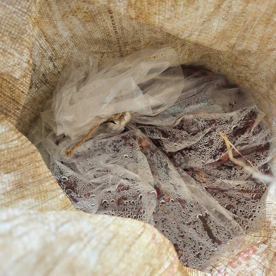 中浅煎り 中国 雲南 かもめの天空農園 ナチュラル ダブルファーメンテーション コーヒー豆