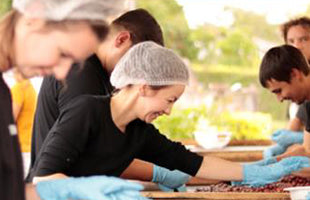 浅煎り コロンビア ルースヘレナ・サラザール ワインイースト&バナナ インフューズド コーヒー豆