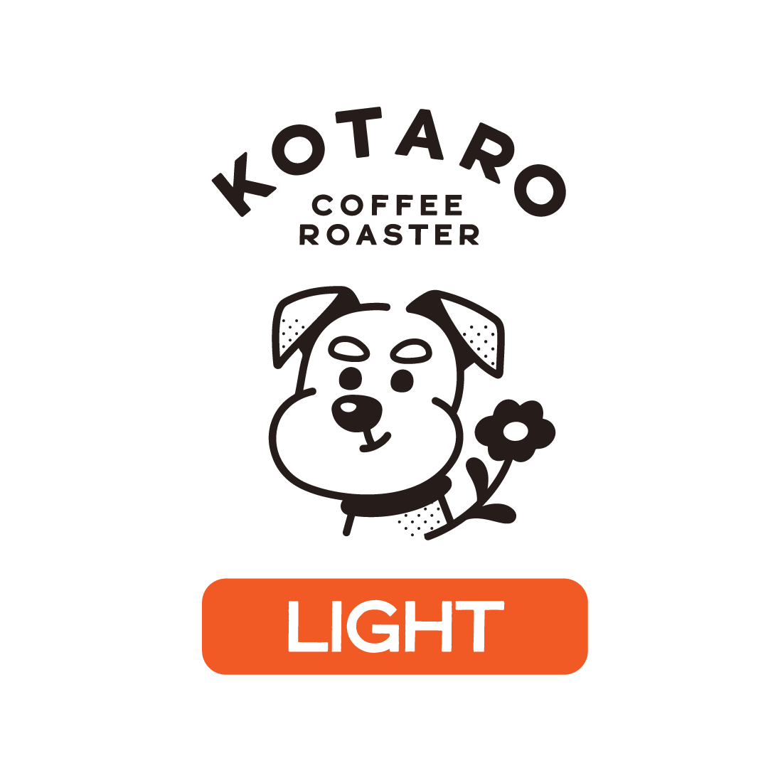 【DAILY】3種類の浅煎りセット