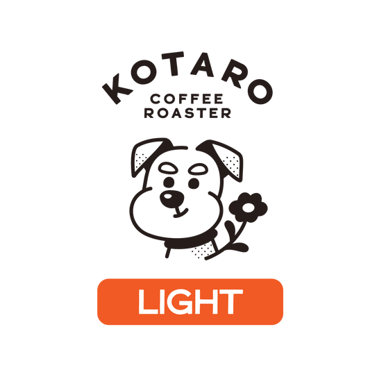 【DAILY】3種類の浅煎りセット