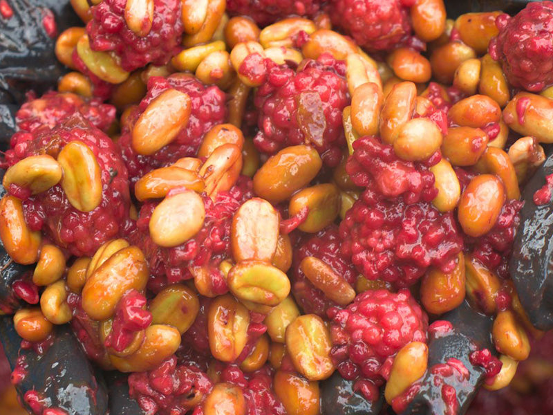 浅煎り コロンビア ルスヘレナ・サラザール ブラックベリーインフューズドハニー コーヒー豆