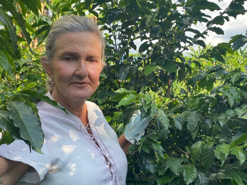 浅煎り コロンビア ルスヘレナ・サラザール ピーチインフューズドウォッシュ コーヒー豆