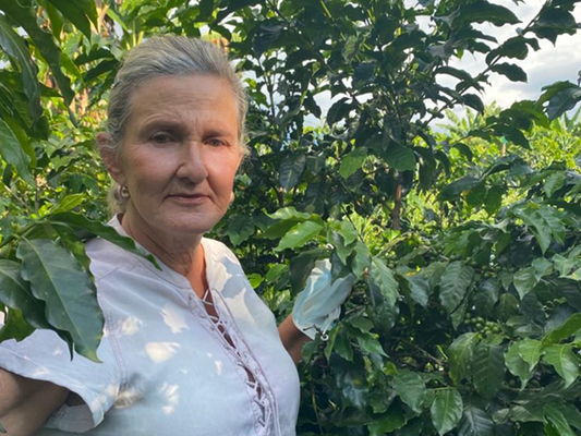 浅煎り コロンビア ルスヘレナ・サラザール ピーチインフューズドウォッシュ コーヒー豆