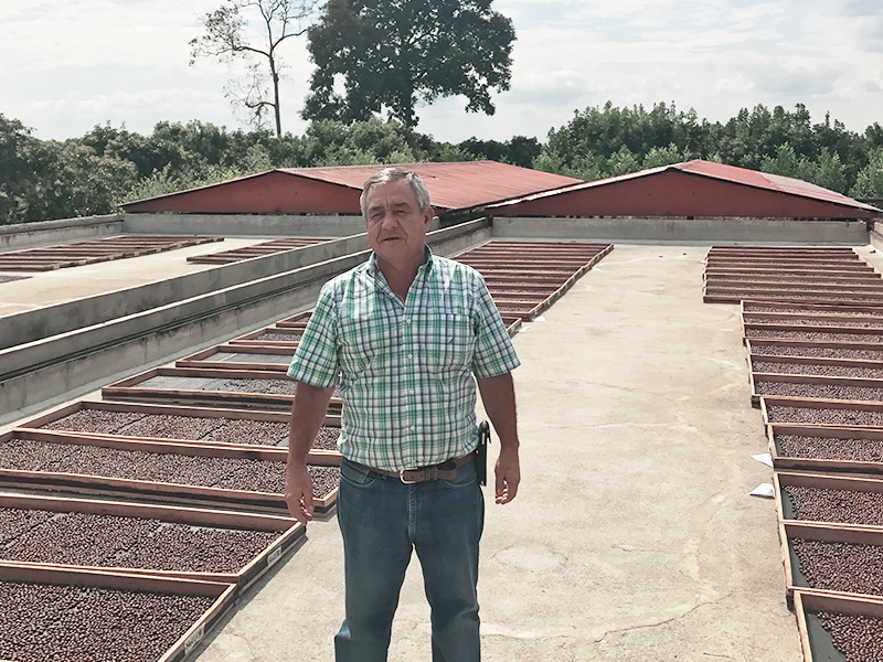 浅煎り コロンビア ルスヘレナ・サラザール ピーチインフューズドウォッシュ コーヒー豆