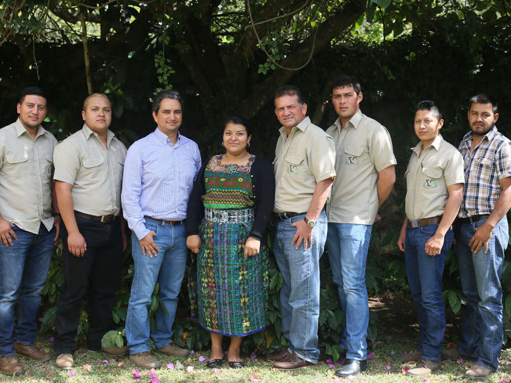 深煎り グアテマラ  サンアグスティン ピューマ ウォッシュトコーヒー豆